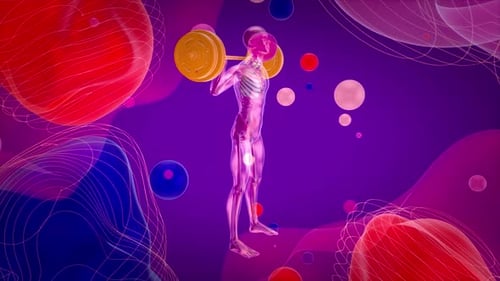 Abstract 3D Human Anatomy Squat Exercise Animation