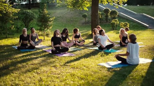 Group of Women Is Stretching Necks in Park on Summer Sunny Morning
