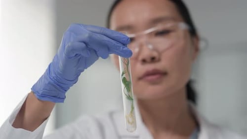 Microbiologist Holding Test Tube With Seedling