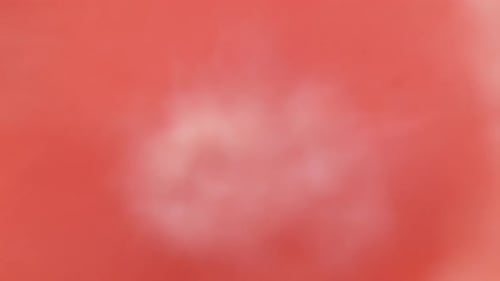 Grapefruit Extreme Close Up with Suspended Bubbles