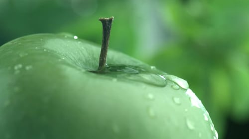 Extreme close-up of water drip on apple in slow motion; shot on Phantom Flex 4K at 1000 fps