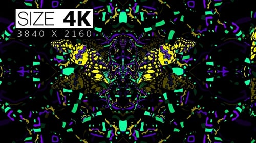 Abstract Psychedelic Butterfly Wings Kaleidoscopic Background Animation