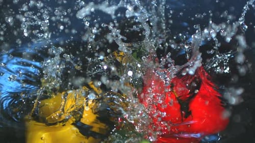 Colorful Bell Peppers Falling Into Water