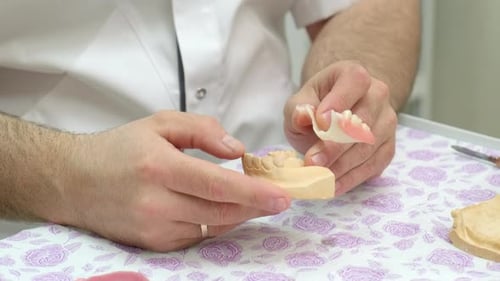 Technicien dentaire examinant des mâchoires et des prothèses amovibles en plâtre