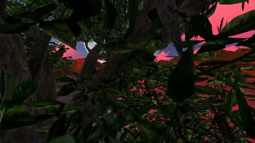 Home garden at night