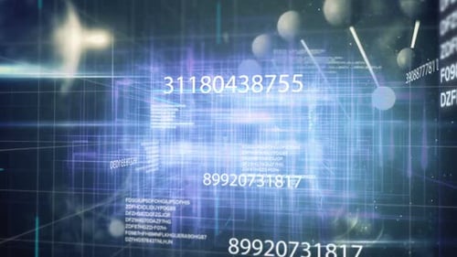 Digital code network rendering