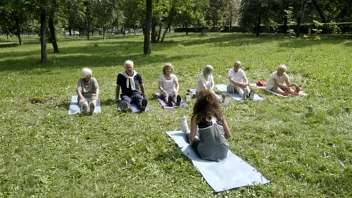 Active Seniors Enjoying a Yoga Class in Park
