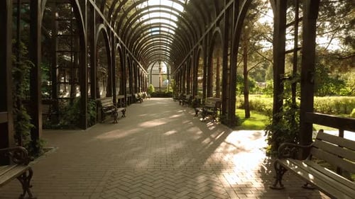 Voûte d'un tunnel dans un parc