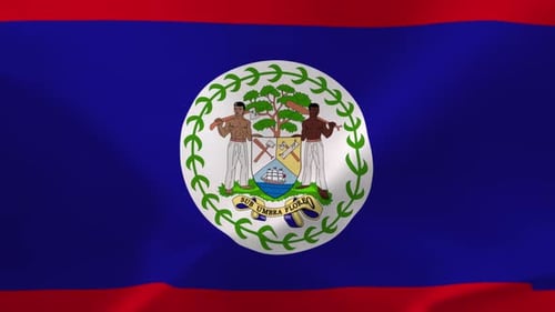 Realistic Waving Belize National Flag Animation