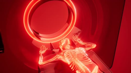 Animated 3D Human Skeleton Body Scan
