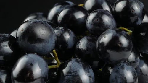 Close Up of Ripe Black Grapes