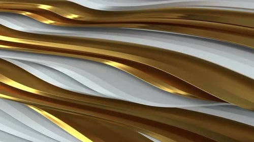Golden White Waves Flowing Abstract Background Animation