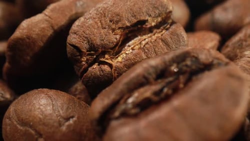 Pile of Rich Brown Roasted Coffee Beans