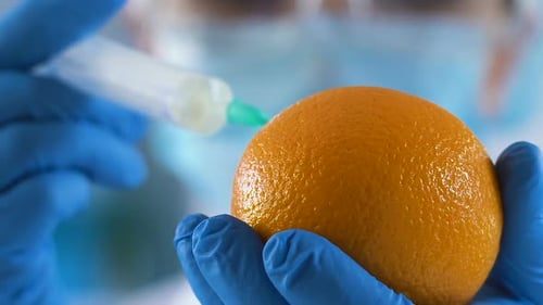Scientist Making Injection to Orange, Fight With Cellulite, Beauty Injections