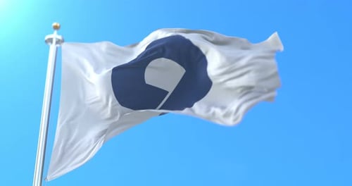 Realistic Waving Flag With Customizable Logo Animation