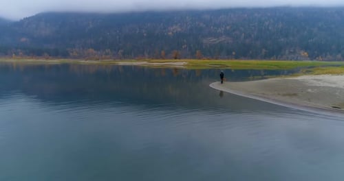 Person Walking Dog on Lakeside Beach