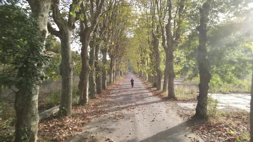 Autumn Park Sport Running
