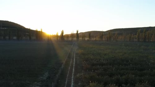 Rural Landscape at Sunrise with Golden Light