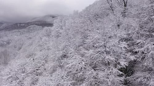Snowy Mountain