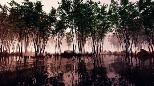 Panorama Of The Natural Landscape
