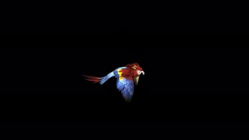 Realistic Red Macaw Parrot Flying Animation