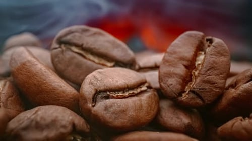 Close Up of Seeds of Coffee