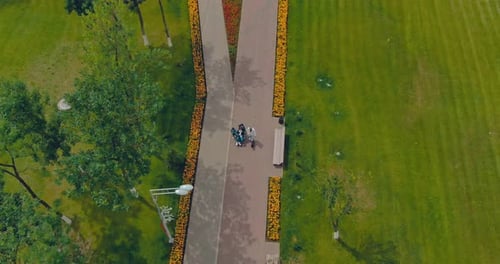 Group Strolling Along Park Path Aerial View
