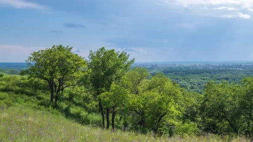 Zeitraffer. Sonnenbeschienene Bäume im Vordergrund. Regenwolken über der Stadt in der Ferne