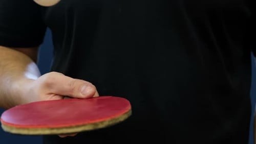 Black Table Tennis Racket and Ball in Women's Hands Close