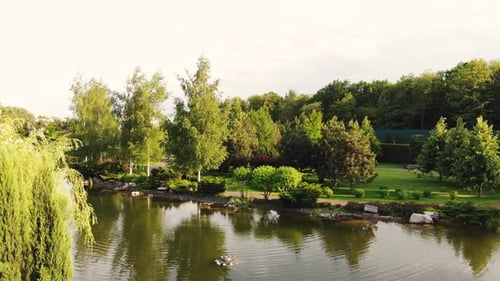 Backward Fly Over Park Pond
