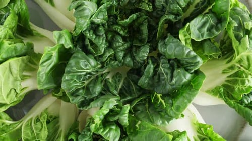 Folhas de repolho verde Pok Choy, alimentos orgânicos saudáveis