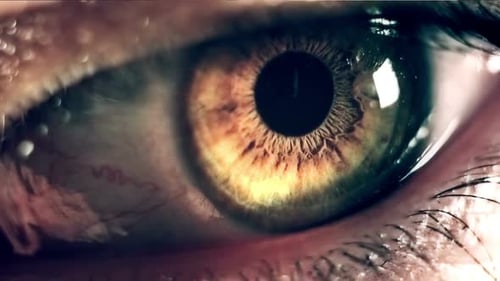 Extreme Close Up of a Hazel Eye