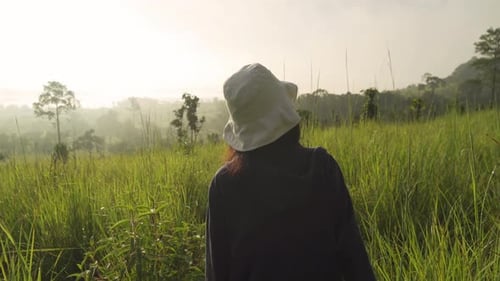 A backpacker Asian tourist woman traveling and walking in forest trees