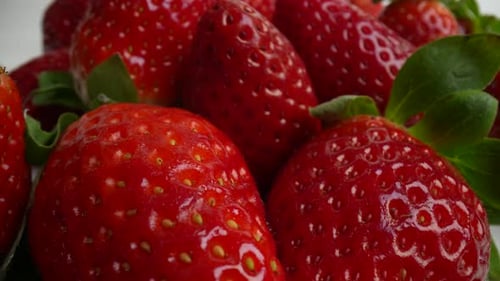 Fraises mûres fraîches 54