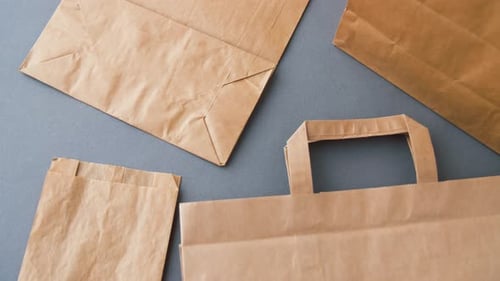 Disposable Paper Bags