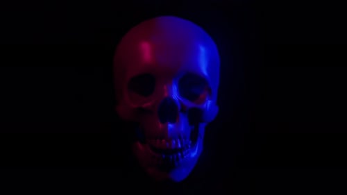 Glowing Neon Skull Animation