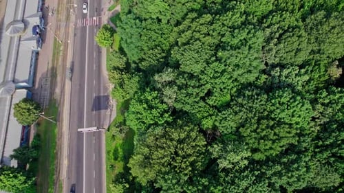 Multi Storey Buildings Near Forest