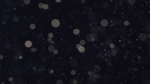 Elegant, Detailed, and Delightful Bokeh and Particles Visuals with Shallow Depth of Field Underwater