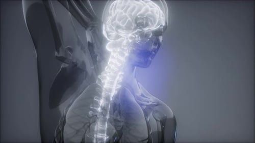 Backache in Back Bones