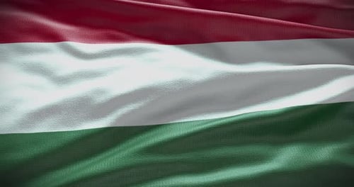 Realistic Hungary Flag Waving Video Loop