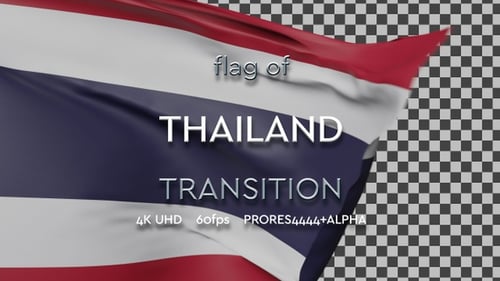 Realistic Waving Flag Animation