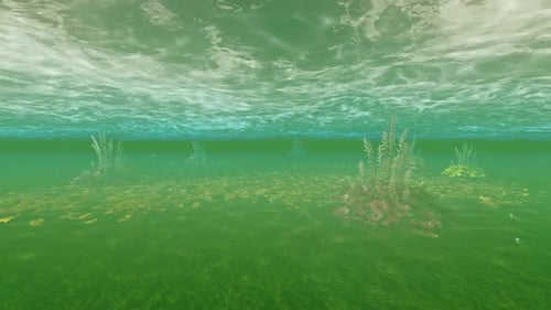 Unter Wasser
