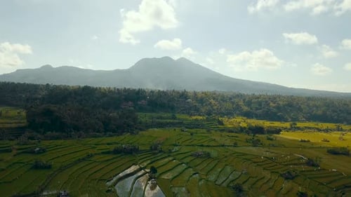 Mount Agung thront am Horizont, als die Luftbildkamera beginnt, über üppig grüne Felder in r zu sinken