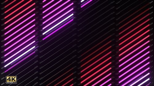 Pink Neon Lights 4-Pack