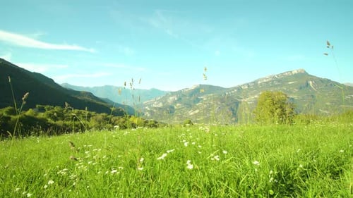 Meadow with Flowers and Grass Against Mountains Under Sky