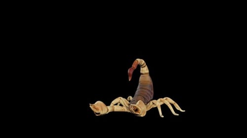 Animated 3D Scorpion Crawling Realistic Creature