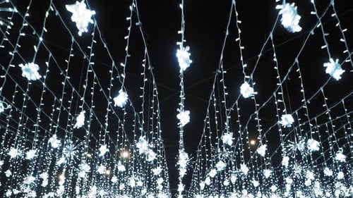 Abstract Holiday Lights Illuminate Night Sky