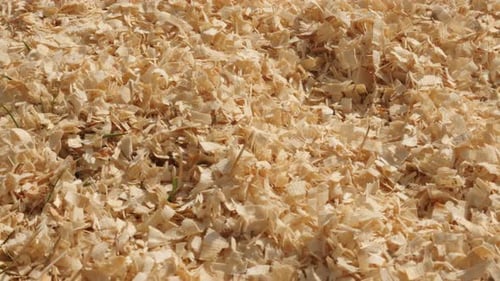 Holzschneidemaschinen langsame Neigung 4K 2160p 30fps UltraHD-Filmmaterial - Potenzielle Energiequelle für Holzsägen