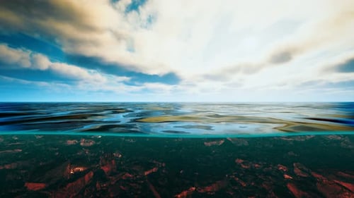 Underwater View with Horizon and Water Surface Split By Waterline