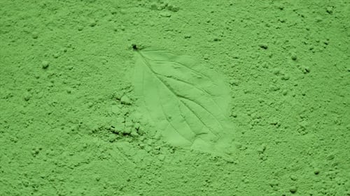 Green Powder with Leaf Impression, Abstract Texture